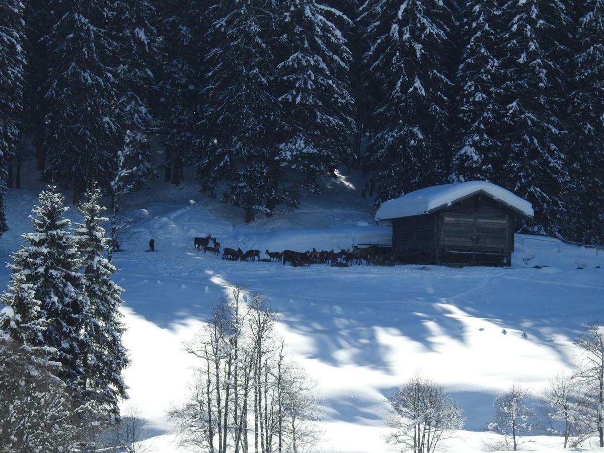 格罗萨尔Blockhaus Ganschitter公寓 外观 照片